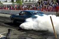 DSC_8368.jpg