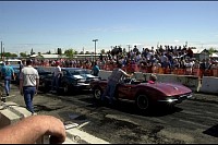 DSC_8374.jpg