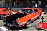 DSC_8383.jpg