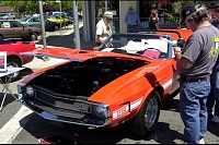 DSC_8384.jpg