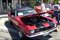 DSC_8388.jpg