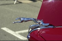 DSC_8412.jpg