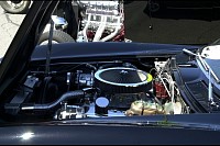 DSC_8420.jpg