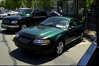DSC_8455.jpg