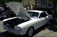 DSC_8456.jpg