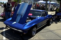 DSC_8470.jpg