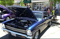 DSC_8483.jpg
