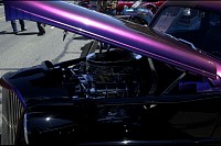 DSC_8492.jpg