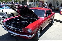 DSC_8495.jpg