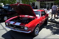 DSC_8500.jpg