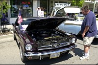 DSC_8519.jpg