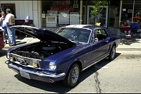 DSC_8526.jpg
