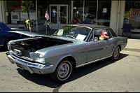 DSC_8529.jpg