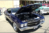 DSC_8555.jpg