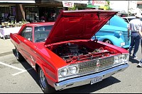 DSC_8567.jpg