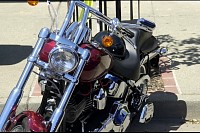 DSC_8576.jpg