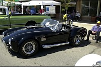 DSC_8584.jpg