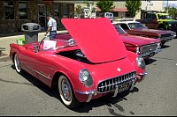 DSC_8586.jpg