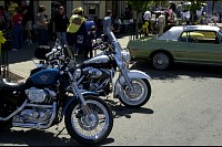 DSC_8595.jpg