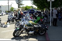 DSC_8600.jpg