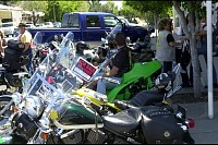 DSC_8613.jpg
