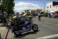 DSC_8619.jpg