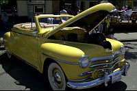 DSC_8621.jpg