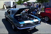 DSC_8628.jpg