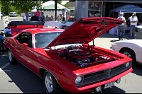 DSC_8629.jpg