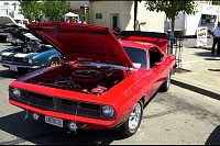 DSC_8633.jpg