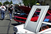 DSC_8639.jpg