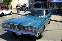 DSC_8641.jpg