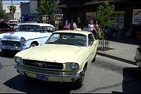 DSC_8652.jpg