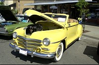 DSC_0964.jpg