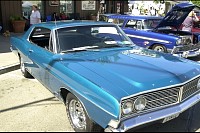 DSC_0981.jpg