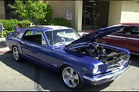 DSC_0991.jpg