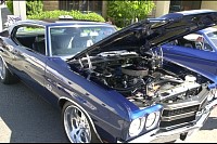 DSC_0993.jpg