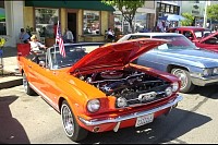 DSC_1030.jpg
