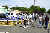 DSC_1096.jpg