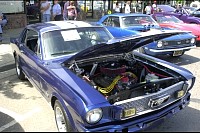 DSC_1159.jpg