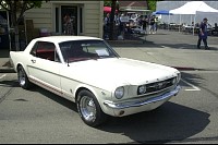 DSC_1831.jpg