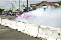 DSC_2009.jpg