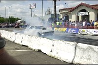 DSC_2020.jpg