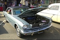 DSC_2317.jpg