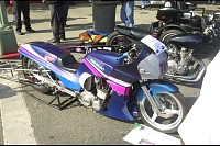 DSC_2348.jpg