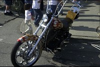 DSC_2350.jpg