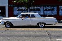 DSC_4866.jpg