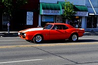 DSC_4869.jpg