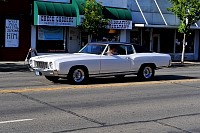 DSC_4911.jpg