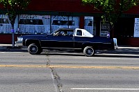 DSC_4959.jpg